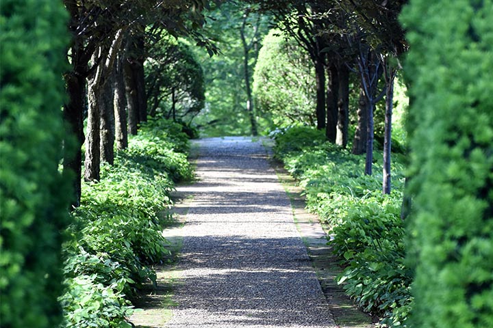 transforming garden